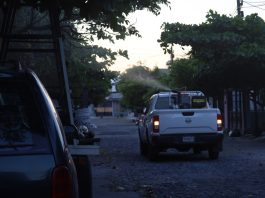Colima se mantiene libre de casos de dengue y está entre los estados del país con menor incidencia