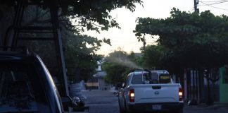 Colima se mantiene libre de casos de dengue y está entre los estados del país con menor incidencia