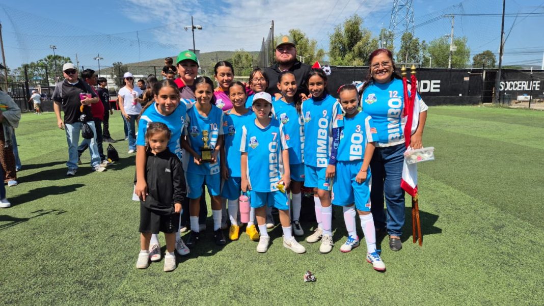 futbolito mega cendis 05