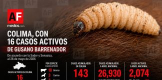 Colima mantiene 16 casos activos de gusano barrenador; Manzanillo concentra la mitad; a nivel nacional hay 2 mil 74