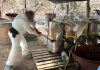 FGR investiga responsabilidades tras hallazgo de laboratorio clandestino en Chihuahua