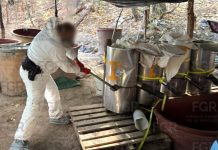 FGR investiga responsabilidades tras hallazgo de laboratorio clandestino en Chihuahua