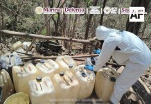 Autoridades federales desmantelan tres narcolaboratorios en Sinaloa; golpe supera los 923 millones de pesos