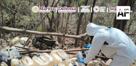 Autoridades federales desmantelan tres narcolaboratorios en Sinaloa; golpe supera los 923 millones de pesos