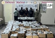 Detienen a una persona y aseguran más de 700 kilos de marihuana en Coahuila