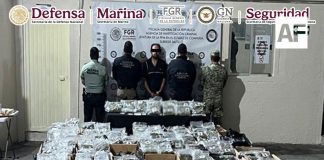 Detienen a una persona y aseguran más de 700 kilos de marihuana en Coahuila