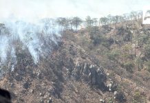 Realizan sobrevuelo en Sierra de La Mora para evaluar incendio forestal en Jalisco