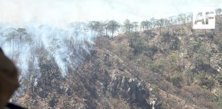 Realizan sobrevuelo en Sierra de La Mora para evaluar incendio forestal en Jalisco
