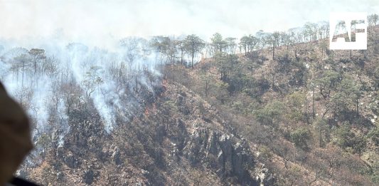 Realizan sobrevuelo en Sierra de La Mora para evaluar incendio forestal en Jalisco