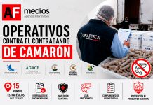 Conapesca coordina operativos para evitar el contrabando de camarón en México