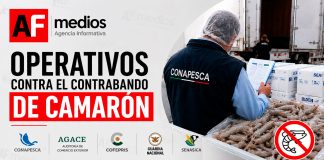 Conapesca coordina operativos para evitar el contrabando de camarón en México