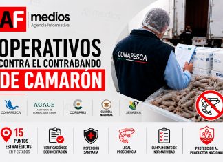Conapesca coordina operativos para evitar el contrabando de camarón en México