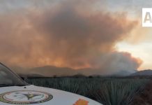 Continúan labores para contener incendio forestal en Magdalena, Jalisco