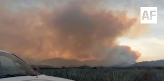 Continúan labores para contener incendio forestal en Magdalena, Jalisco