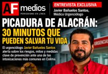 Picaduras de alacrán en Colima: el urgenciólogo Javier Bañuelos alerta sobre riesgos, mitos y la importancia de actuar en menos de 30 minutos