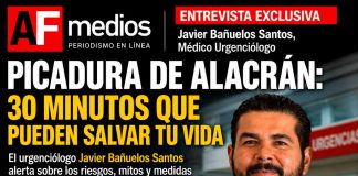 Picaduras de alacrán en Colima: el urgenciólogo Javier Bañuelos alerta sobre riesgos, mitos y la importancia de actuar en menos de 30 minutos