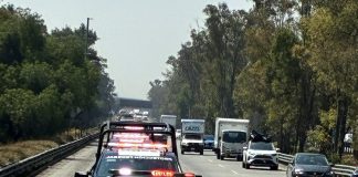 SPF mantiene abierta convocatoria para integrarse como Protector de la Nación durante junio