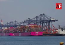 Puerto de Manzanillo recibió más de 570 buques mercantes entre enero y abril de este año