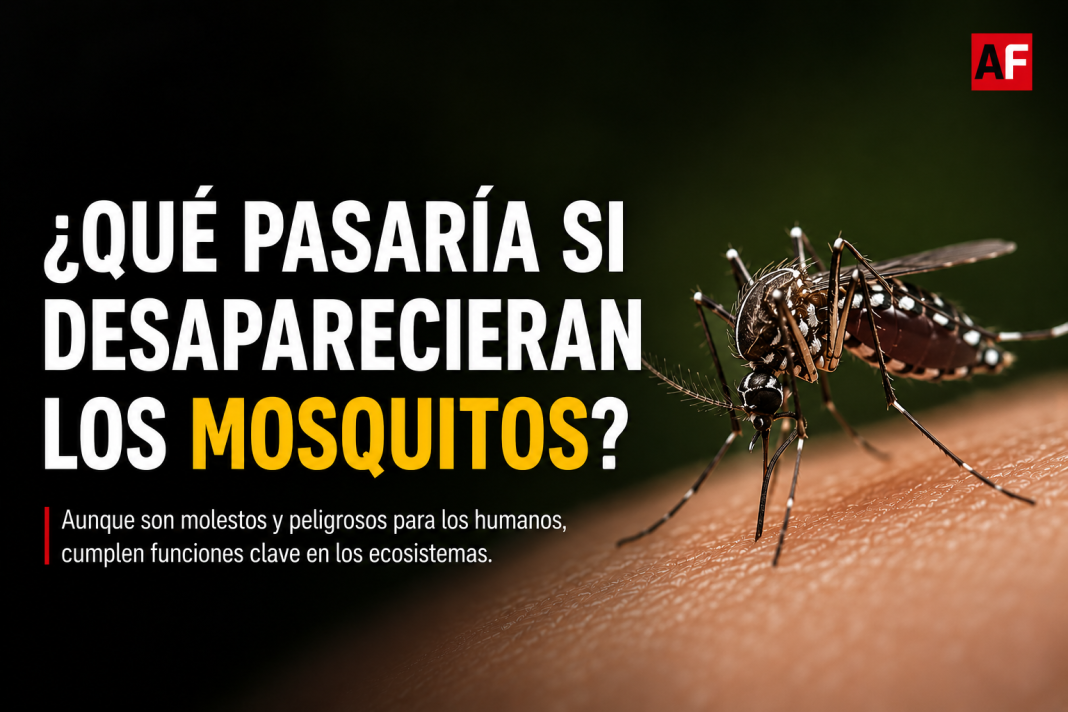 que pasaria si desaparecen mosquitos