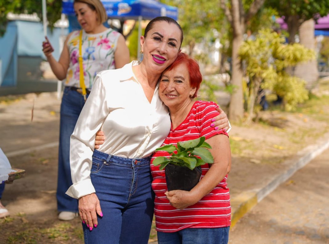 tey regala plantas panteon mamas 05