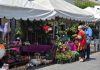 Gobierno de Tlaquepaque realizará Expo Venta por el Día de las Madres
