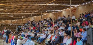 Reconoce órgano afiliado a la UNESCO a tabladeros y constructores de La Petatera