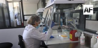 Llega Brigada Forense a San Juan de los Lagos para toma de muestras de ADN a familias de personas desaparecidas.