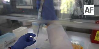 Ciencias Forenses de Jalisco, amplia dictámenes para identificar personas fallecidas