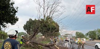 Cuerpos de emergencia atienden 76 incidentes por tormenta y viento en Colima, Villa de Álvarez y Cuauhtémoc