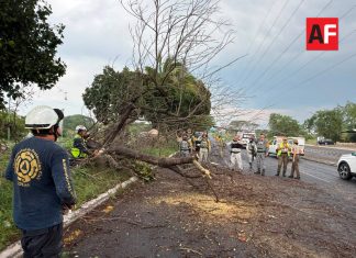 Cuerpos de emergencia atienden 76 incidentes por tormenta y viento en Colima, Villa de Álvarez y Cuauhtémoc
