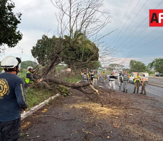 Cuerpos de emergencia atienden 76 incidentes por tormenta y viento en Colima, Villa de Álvarez y Cuauhtémoc