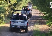 Delincuentes emboscan a policías en La región de Nahuatzen; hay 5 oficiales muertos y 5 heridos