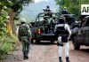 Dos cortadores de limón resultan lesionados tras explosión de mina en Apatzingán