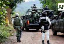 Dos cortadores de limón resultan lesionados tras explosión de mina en Apatzingán