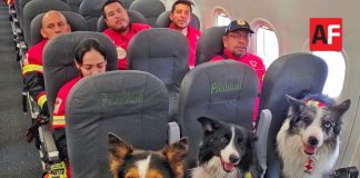Equipo USAR de Cruz Roja Mexicana viaja a Venezuela para apoyar tras los sismos