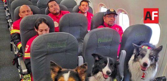 Equipo USAR de Cruz Roja Mexicana viaja a Venezuela para apoyar tras los sismos