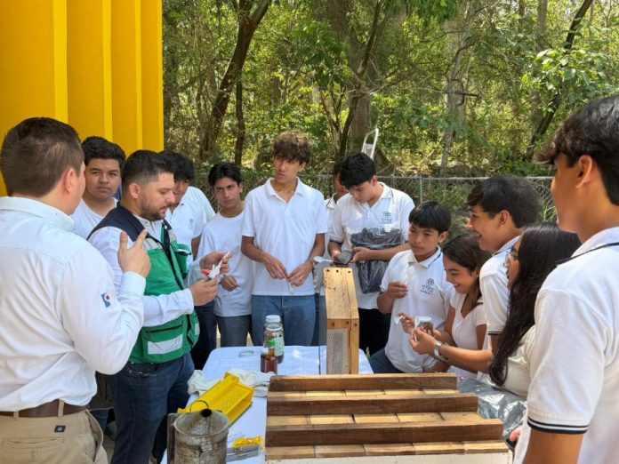 Estudiantes del Bach 11 conocen importancia de abejas polinizadoras