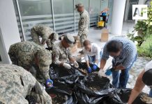Detienen en Colima a hombre que transportaba más de 11 mil huevos de tortuga marina