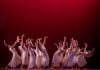 Muestran, a través de sus coreografías, el aprendizaje logrado durante el año