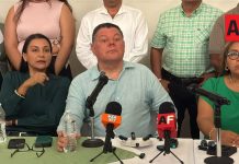 PVEM rompe con Morena en Colima y perfila candidatura propia para la gubernatura en 2027