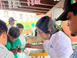 Promueve UdeC conocimiento y conservación en el Festival Tecuanillo Ambiental