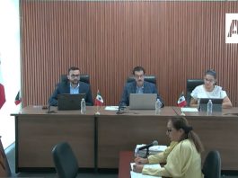 Estos fueron los argumentos por los que el TEE descartó actos anticipados de campaña atribuidos a Rosa Bayardo