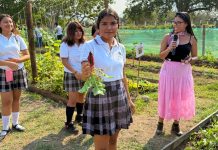 Trabajan con un mismo fin: el cuidado del medio ambiente, estudiantes de bachillerato y licenciatura, en Tecomán