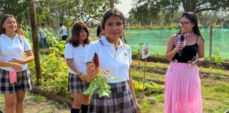 Trabajan con un mismo fin: el cuidado del medio ambiente, estudiantes de bachillerato y licenciatura, en Tecomán