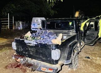 Hallan a cuatro hombres asesinados tras presunto enfrentamiento entre CJNG y Caballeros Templarios en Parácuaro