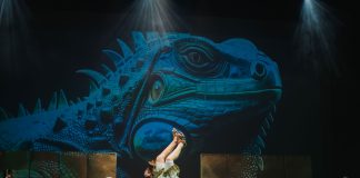 Xayaca, danza que aborda la riqueza cultural de Colima, dará su última función de temporada