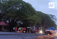 Accidente entre dos tractocamiones cerca de la Guardia Nacional en Tecomán; obstruyen circulación en la autopista