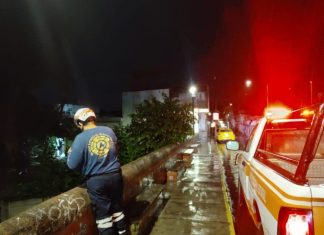 UEPC Colima atiende 20 reportes de afectaciones por lluvias y viento este miércoles, en varios municipios