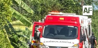 Dos pescadores resultan lesionados tras presunto ataque de cocodrilo en la Laguna de Cuyutlán