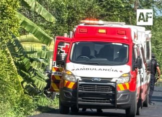 Dos pescadores resultan lesionados tras presunto ataque de cocodrilo en la Laguna de Cuyutlán